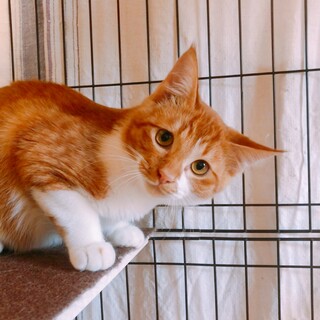 遊び盛りで甘えん坊ෆ⃛ほとけくん