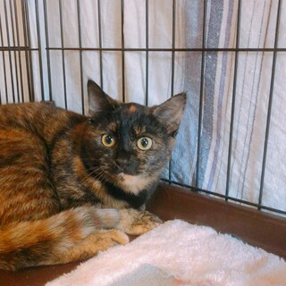 抱っこ大好き甘えん坊ෆ⃛やくしちゃん