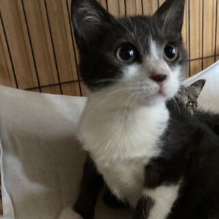 ずっとのおうちがみつかりました(^^)