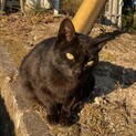 遠慮がちですが人懐こいです！