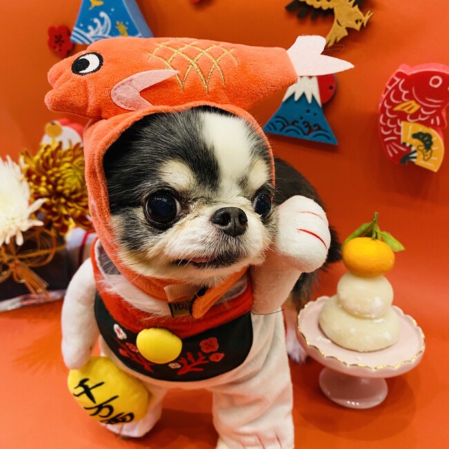 まりこりんりんのカバー写真