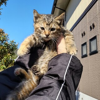 私の家族になりました。