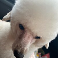 チョロ