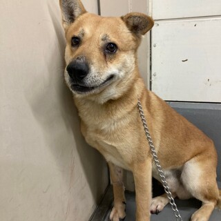 ビビリなイケメン、カツオ君→相談中！