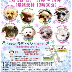 犬の合同譲渡会