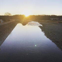 「謹賀新年」サムネイル2