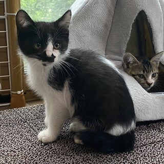 2021年4月30日生まれ　男の子　仮名ゆず