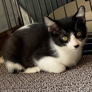 2021年4月30日生まれ　男の子　仮名すだち