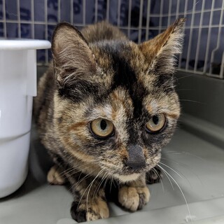 メラちゃんお幸せに♡