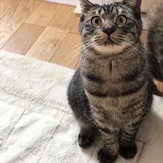 伸びしろしか無いデンデンくん　甘えん坊予備軍