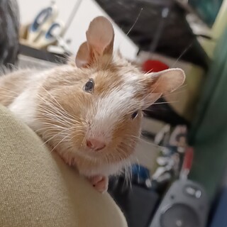 【10ヶ月】サン