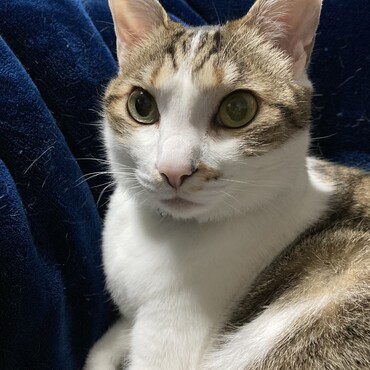 の写真