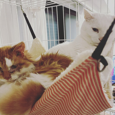 エルの写真