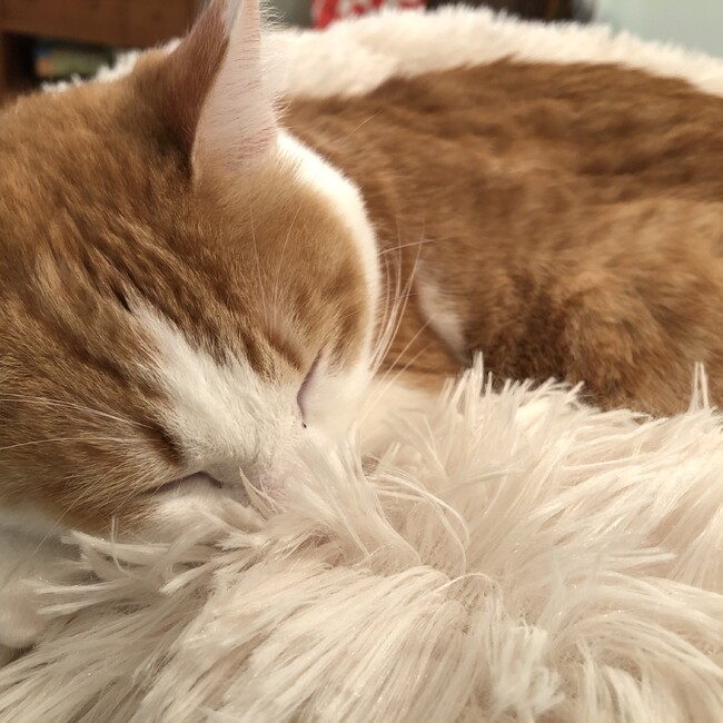 たくみきりとのカバー写真
