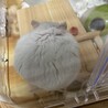よしham