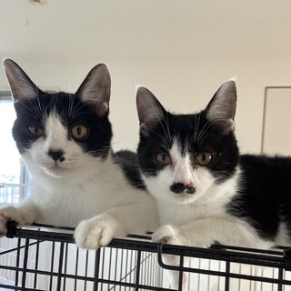 お問合せがあり一旦停止中です