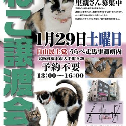 第5回ねこ譲渡会@茨木市