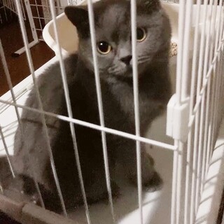 《里親サマ決まりました！》ベビちゃん