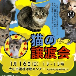 ねこの譲渡会＠犬山市福祉活動センター