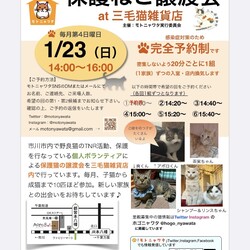 1/23（日）保護ねこ譲渡会@三毛猫雑貨店