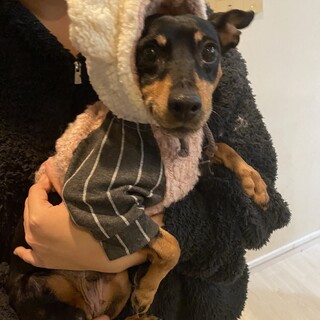 警戒心の強いモフモフちゃん