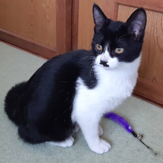 ありがとうございました