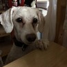 ナナシイズム。