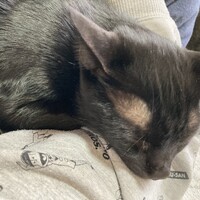 エドワード