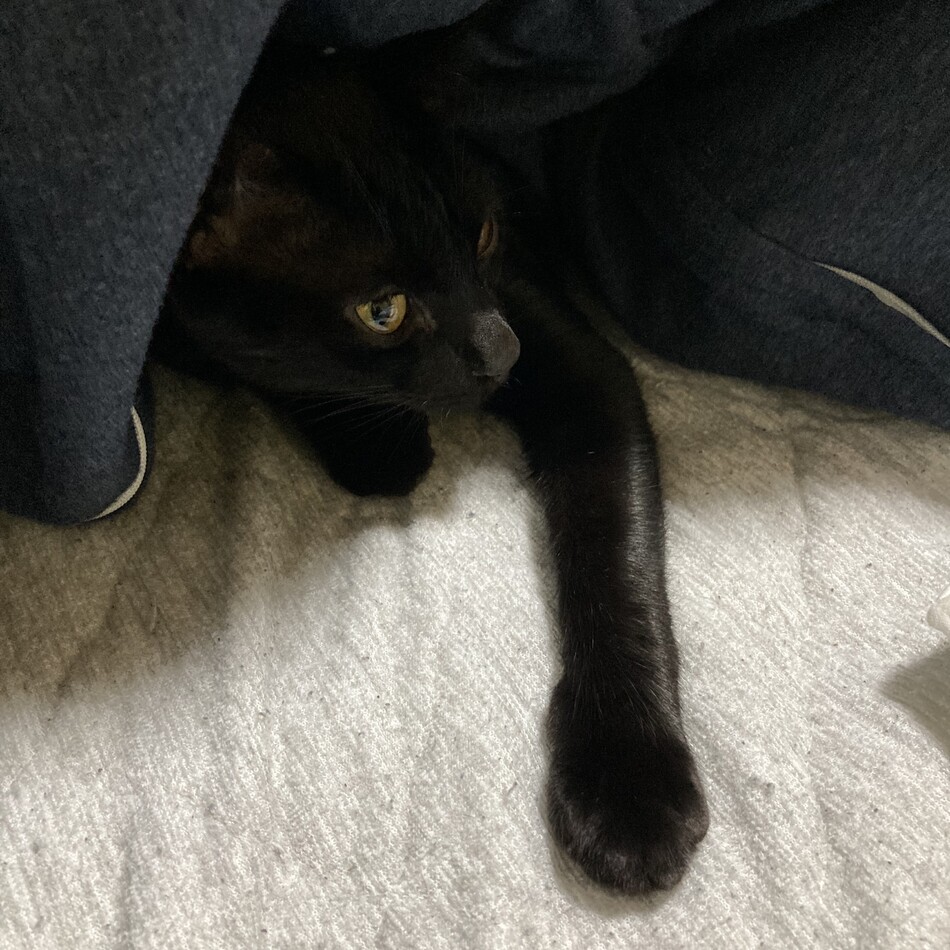 エドワードのカバー写真