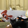 ぬいぐるみと同化中。