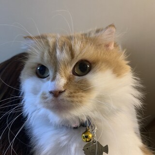 とってもいい子♡なっちちゃん