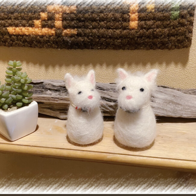 Cucciamama Dog'sのカバー写真