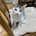 素敵なご家族と出会えました♡雷くん