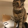 やまこう21