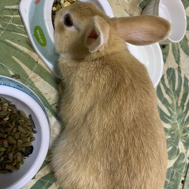 食いしん坊です。