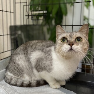 のんびりマイペース☆クロエちゃん