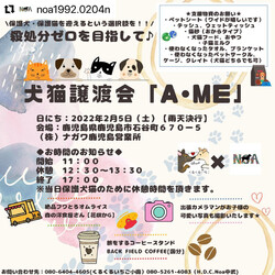 犬猫譲渡会AME♪