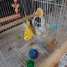南部佑一 さん