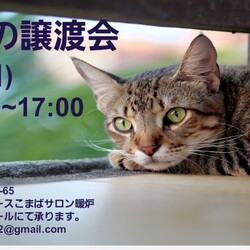 7/17 本気の譲渡会