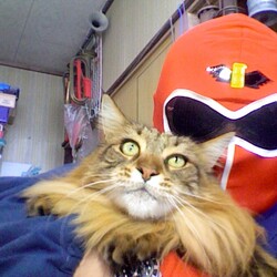 「ベルクさん7歳の誕生日でGo！」サムネイル2