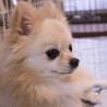 元気いっぱいでナデナデ大好き♡はじめくん サムネイル4