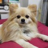 元気いっぱいでナデナデ大好き♡はじめくん サムネイル6