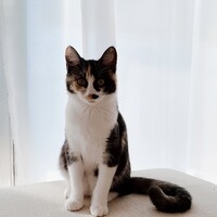 うに