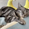 ゆきこ218