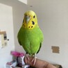の写真