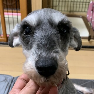 ビビりだけど人が大好きな女の子♪