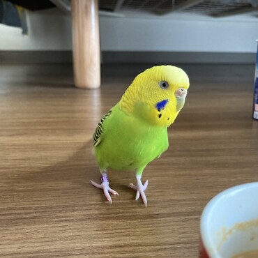 の写真