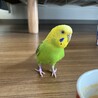 の写真