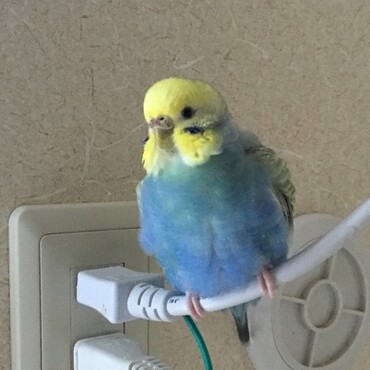 の写真