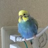 の写真